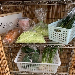 12月6日　野菜売ります