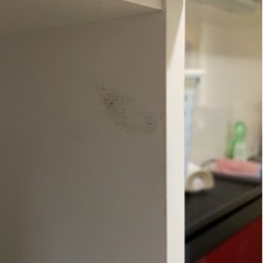 ニトリ レンジ台【お取引中】の画像