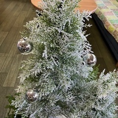 クリスマスツリー　ライトもおつけしますの画像