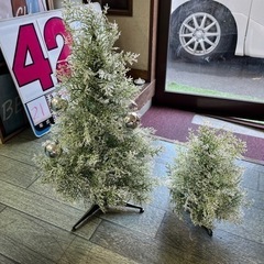 クリスマスツリー　ライトもおつけしますの画像