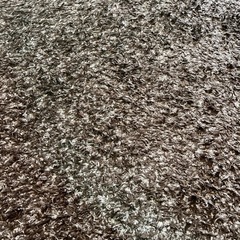 決まりました！ダブルデイのラグ