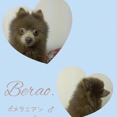 *.🌼新しい家族と幸せになります🌼.*