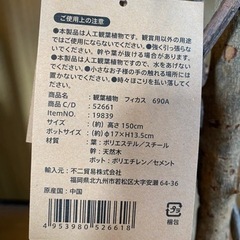 フェイクグリーンの画像