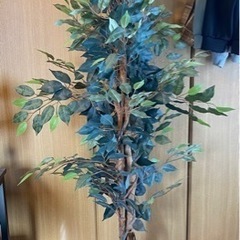 フェイクグリーン