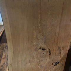 一枚板　杉　巨大　96センチ×150センチ　売約済みの画像