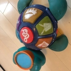 亀おもちゃ、の画像