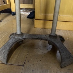 トルソーの画像