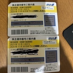 全日空株主優待券　2枚　期限長いです