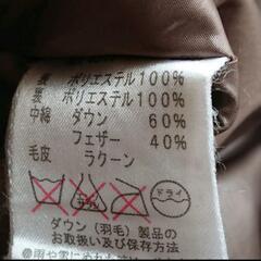 レイビームス ダウンコートの画像