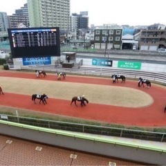 大井・川崎・浦和・船橋競馬仲間募集！！ - 新宿区