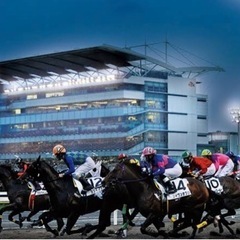 大井・川崎・浦和・船橋競馬仲間募集！！