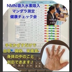 閲覧ありがとうございます♡  🍀静岡初❣️NMN．水素吸入マンダ...