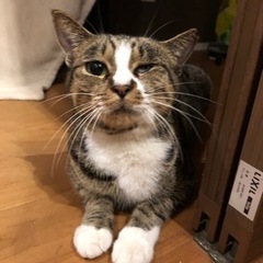 子育てを頑張ったジャックちゃん！　