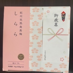 紀州産はちみつ梅干し