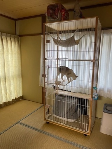 キャットタワーケージ