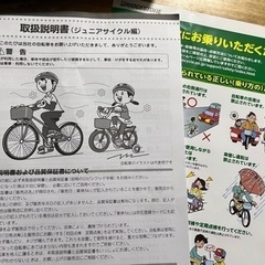 【終了】☆差し上げます☆ブリヂストン✨子ども用自転車🚲１８インチ　取説付き　エコキッズ　イオンバイクの画像