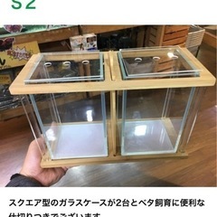 ②【新品】バンブーボトル　ガラスケースの画像