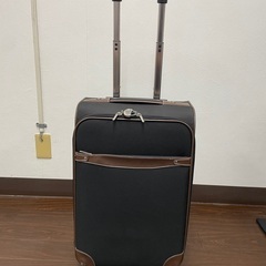 キャリーバック　引取り限定