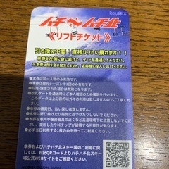 ハチ/ハチ北平日券.