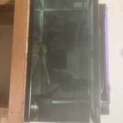 水槽引き取り願います90cm水槽セット