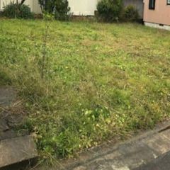 🔴空き地　🔴355.96㎡　🔴初期費用0円 🔴🔷🔷🔷　　　　　1...