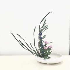 そうだ!! 習い事を始めよう 「おいしい時間」華道教室ですの画像