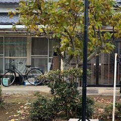 バスケットゴール