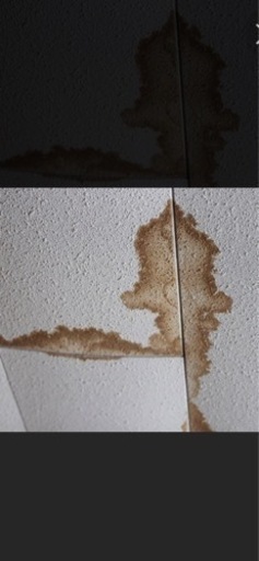 雨漏り点検☆ 編