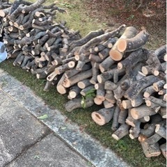 来年以降の薪として