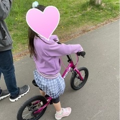 使用期間１ヶ月以内　正規品ストライダー　取扱説明書あり