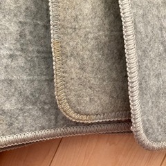 ※11月19日以降のお取引※ホットカーペットの画像