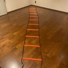 ラダー4m