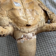 亀　カメ　置き物　飾り物の画像