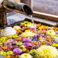 お花の装飾
