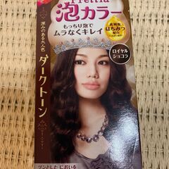 【新品】Prettia　泡カラー　ダークトーン　ロイヤルショコラ