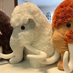 ぬいぐるみ　マンモス🦣の画像