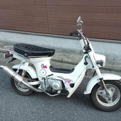 ホンダ  シャリー 12V 1997年式  走行約 8207kmの画像