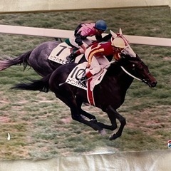 競馬　1993年　ウイニングチケット　ダービー優勝　パネルの画像