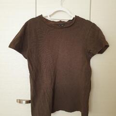 男性シャツ Tシャツ 4類の画像