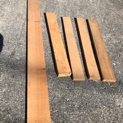 杉４枚と松１枚　計５枚の画像