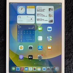 ipad mini５ A2133 silver wi-fi ６４GBバッテリー９９%
