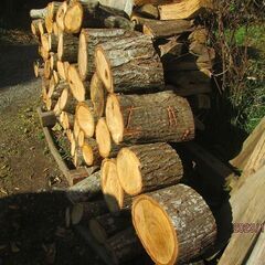 お買い得の一品！広葉樹生木　　長３０ｃｍから４０位、栗のみ）12月に切ったものです、薪ストーブ、キャンプ薪の画像
