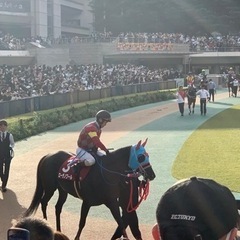 競馬でつながろ〜♪G1レース − 東京都