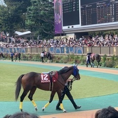 競馬でつながろ〜♪G1レース - メンバー募集