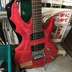 ESP Grassroots Forest【F00361】の画像