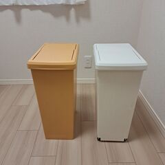 30Lゴミ箱　２個