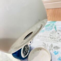 【観葉植物】サンスベリア・パゴダ（2.5号ホワイト鉢つき）の画像