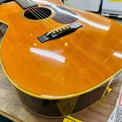 Shenandoah MHOM-28 アコースティックギター の画像