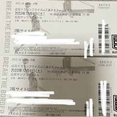 広島ドラゴンフライズvs三遠ネオフェニックス戦　ペアチケット