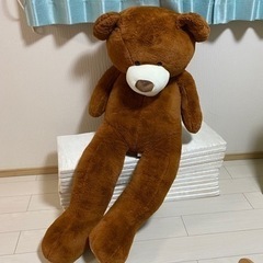 交渉中　大きいクマの人形